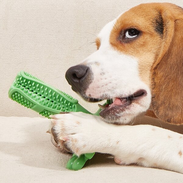 

1pc Pet Chew Toy, Green