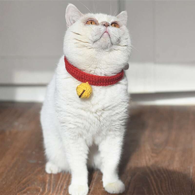 

Color Block Knit Pet Necklace, Red