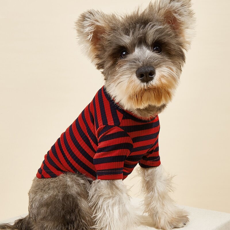 

Striped Ribbed Pet Tee, Multicolor