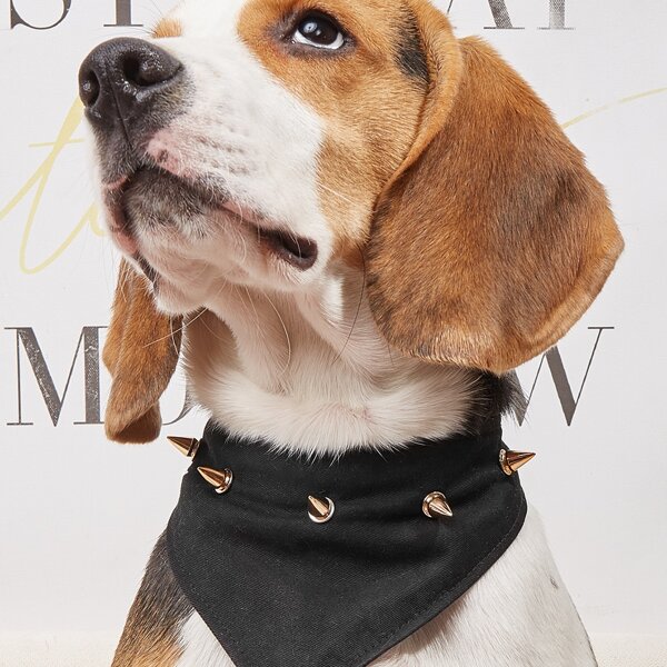 

Rivet Decor Pet Bandana, Black