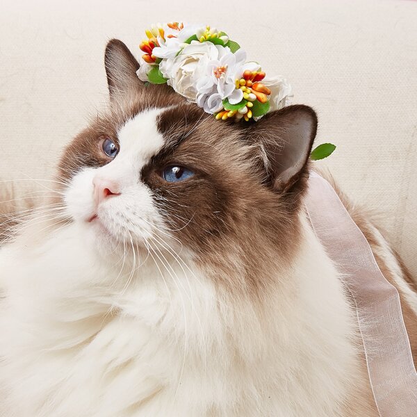 

Flower & Leaf Decor Pet Headband, Multicolor