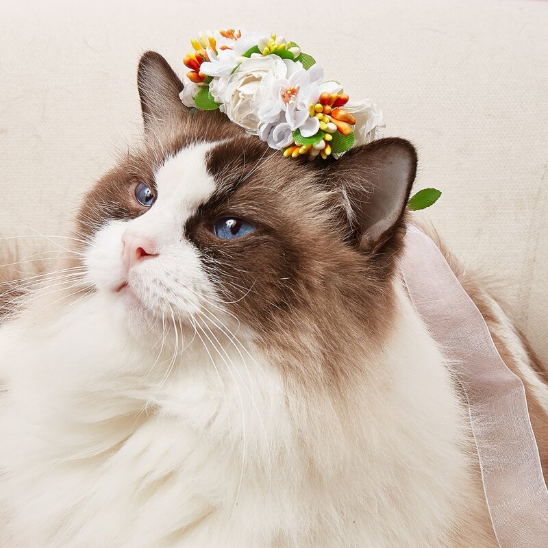 

Flower & Leaf Decor Pet Headband, Multicolor