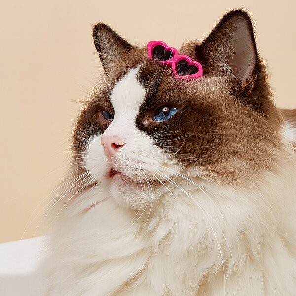 

2pcs Sunglasses Shaped Pet Hair Clip, Hot pink