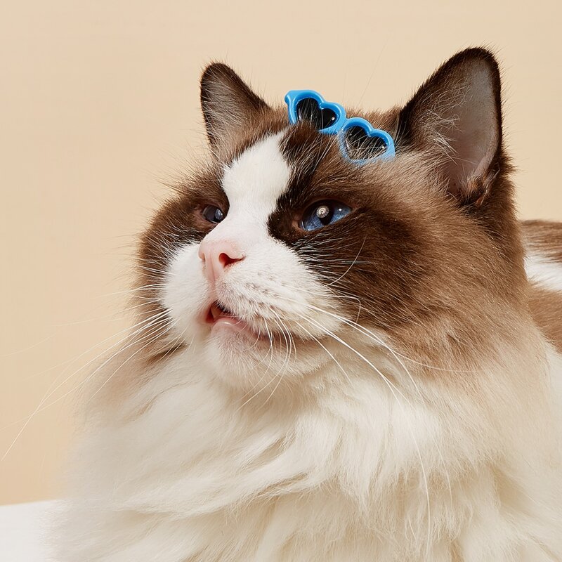 

2pcs Sunglasses Shaped Pet Hair Clip, Blue