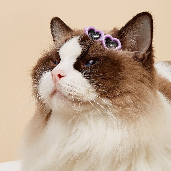 

2pcs Sunglasses Shaped Pet Hair Clip, Mauve purple