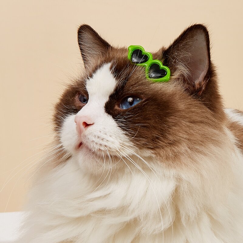 

2pcs Sunglasses Shaped Pet Hair Clip, Green