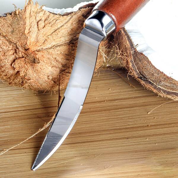 

1pc Multifunction Coconut Knife, Brown
