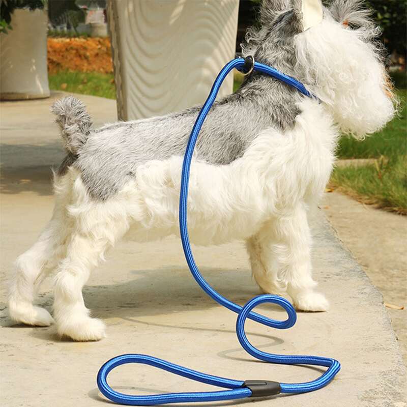 

1pc Nylon Pet Leash, Blue