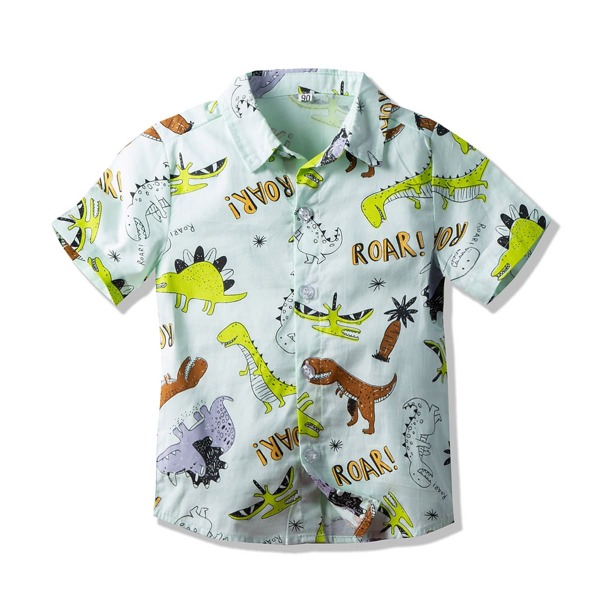 

Toddler Boys Dinosaur And Letter Graphic Shirt, Mint green