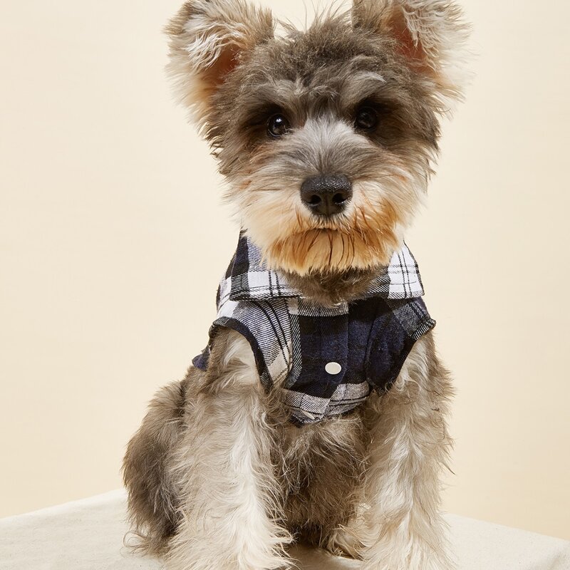 

Plaid Pet Shirt, Multicolor