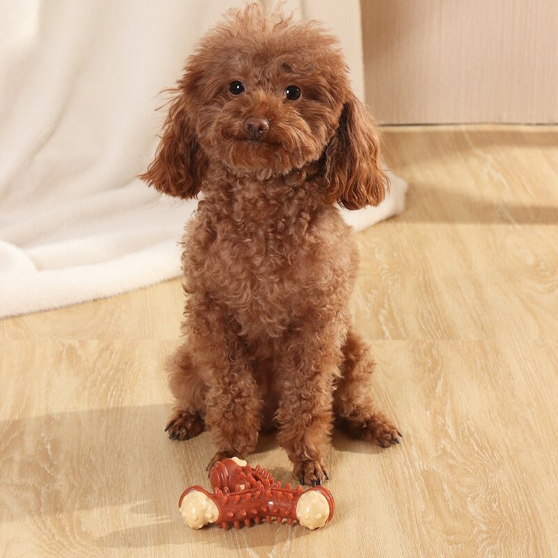 

Color Block Pet Chew Toy, Coffee brown