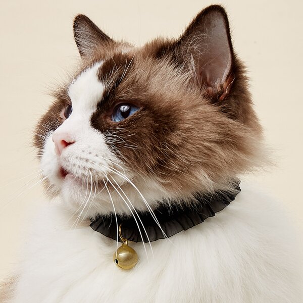 

Bell Pendant Mesh Pet Necklace, Black