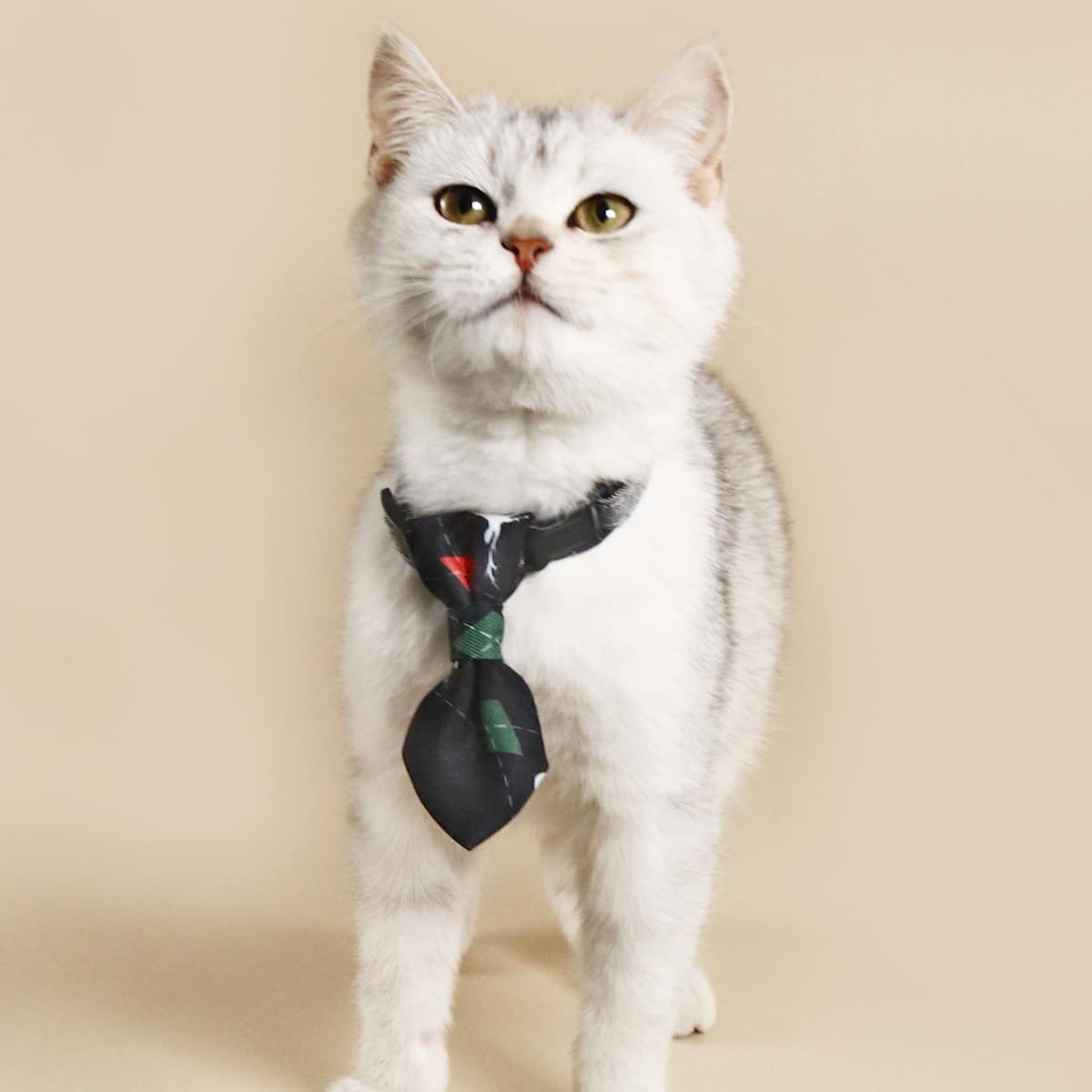 

Geometric Pattern Pet Tie, Multicolor