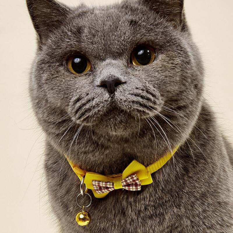 

Plaid Bow Decor Pet Collar, Yellow