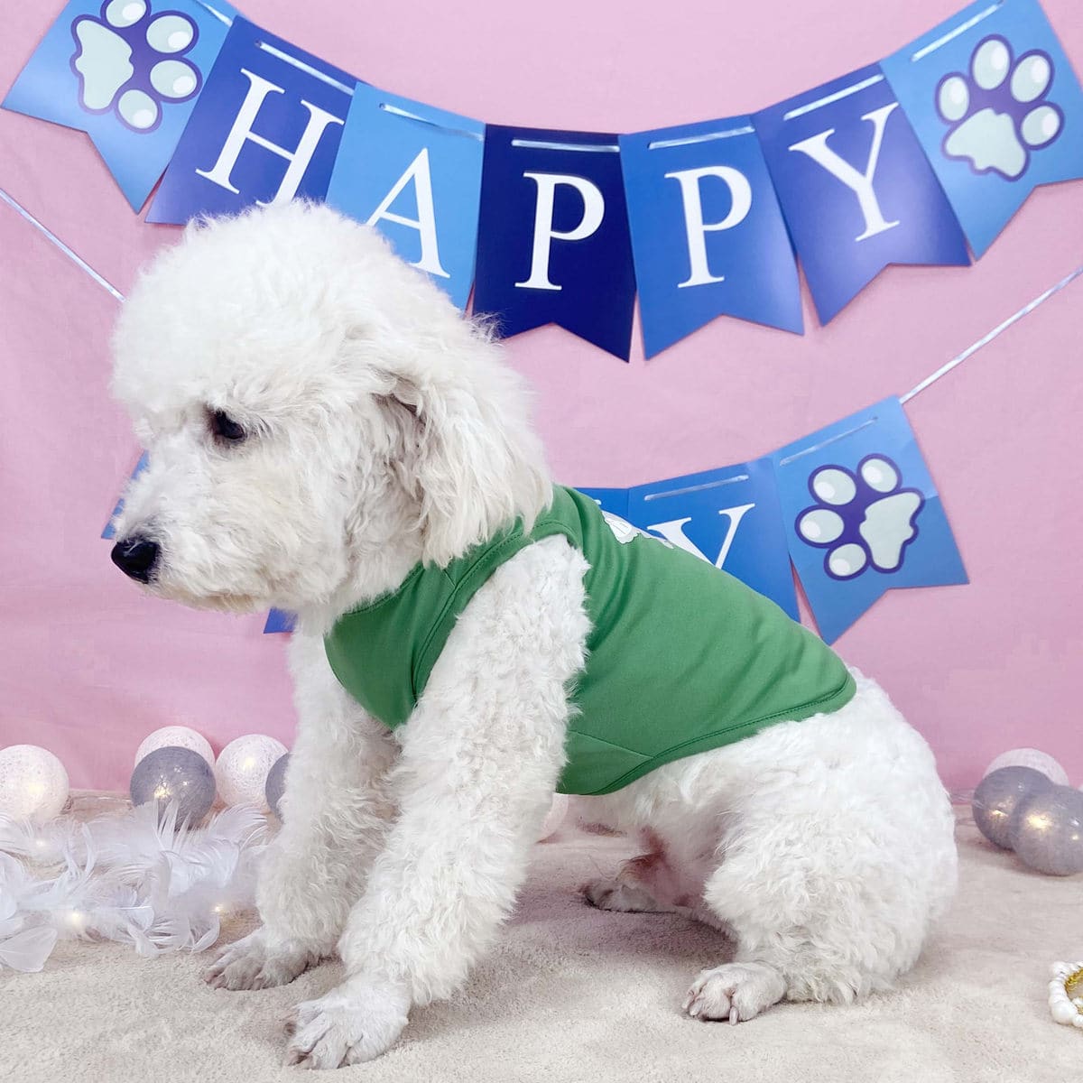 

Cartoon Graphic Pet Tank, Green