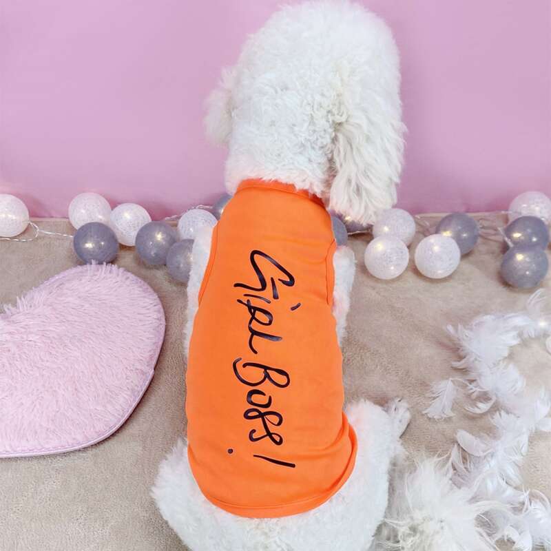 Letter Graphic Pet Tank, Orange