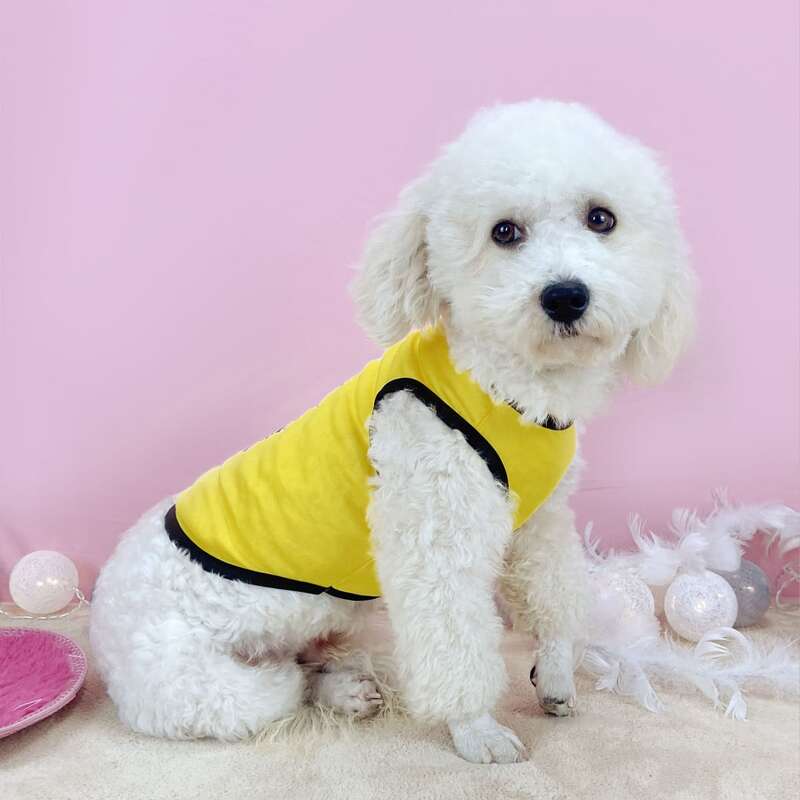 

Figure Graphic Pet Tank, Yellow