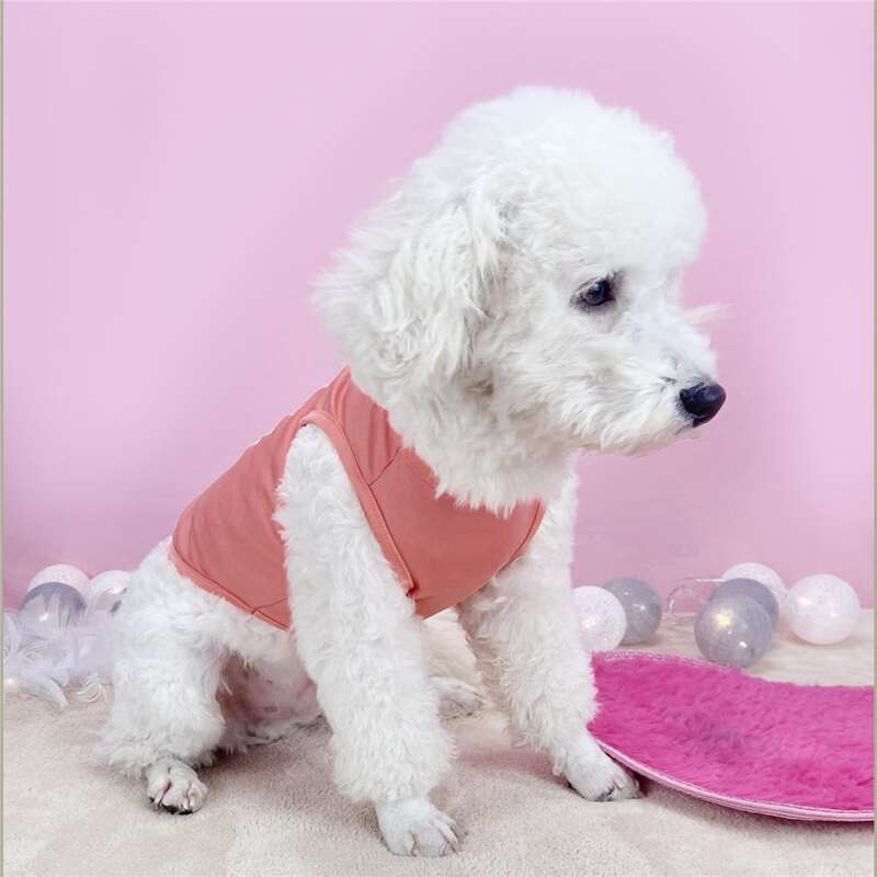 

Cartoon Unicorn Graphic Pet Tank, Pink