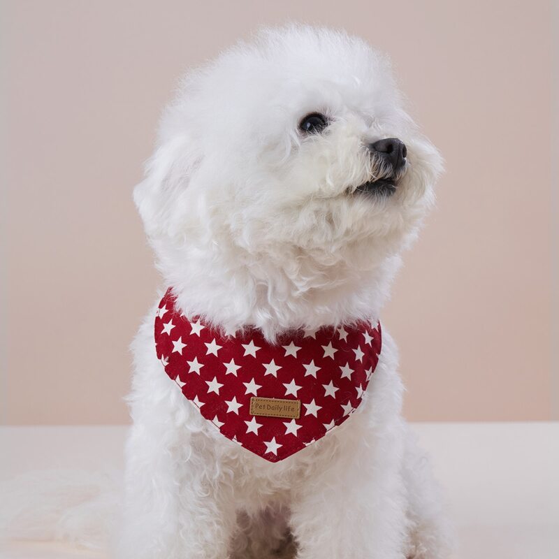 

Star Print Pet Bandana, Red and white
