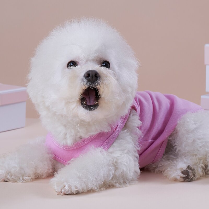 

Solid Pet Tank, Pink
