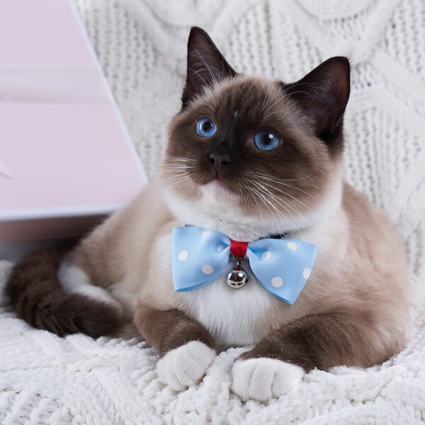 

Bell Charm Polka Dot Pet Bow, Blue and white