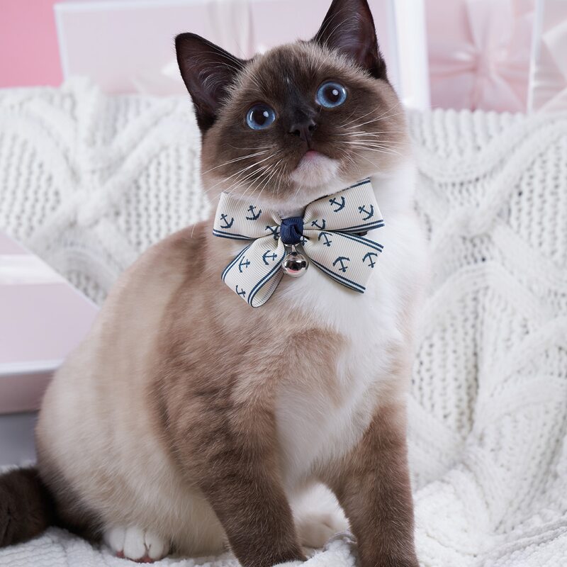 

Bell Charm Anchor Print Pet Bow, Blue and white