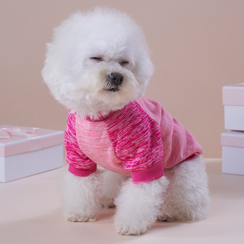 

Space Dye Pet Sweatshirt, Pink