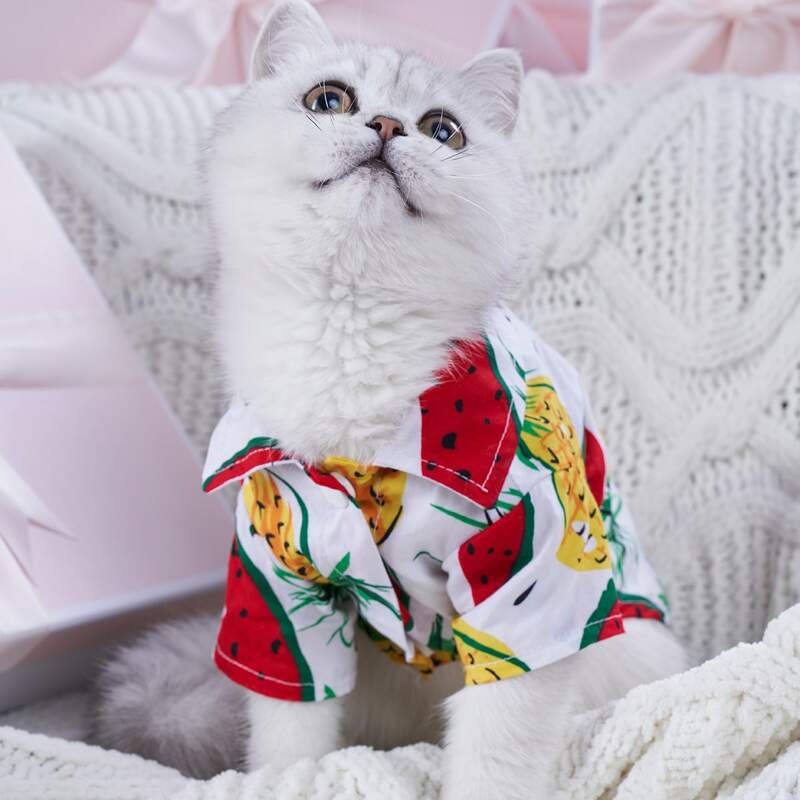 

Watermelon & Pineapple Print Pet Shirt, Multicolor
