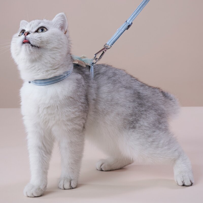 

1pc Star Decor Pet Harness & 1pc Pet Leash, Baby blue