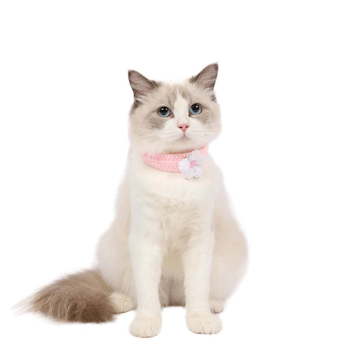 

1pc Random Color Flower Decor Knit Pet Necklace, Multicolor