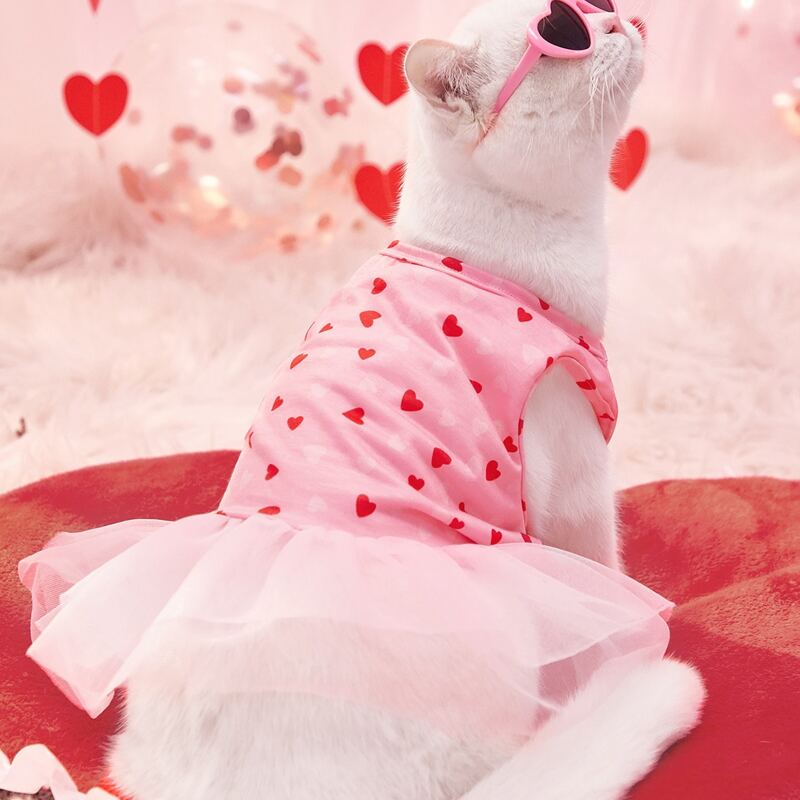 

Contrast Mesh Heart Pattern Pet Dress, Pink
