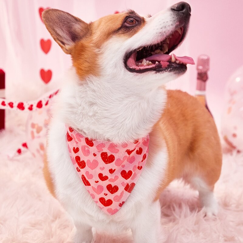 

Heart Pattern Pet Bandana, Pink