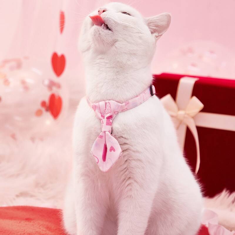 

Heart Pattern Pet Tie, Pink