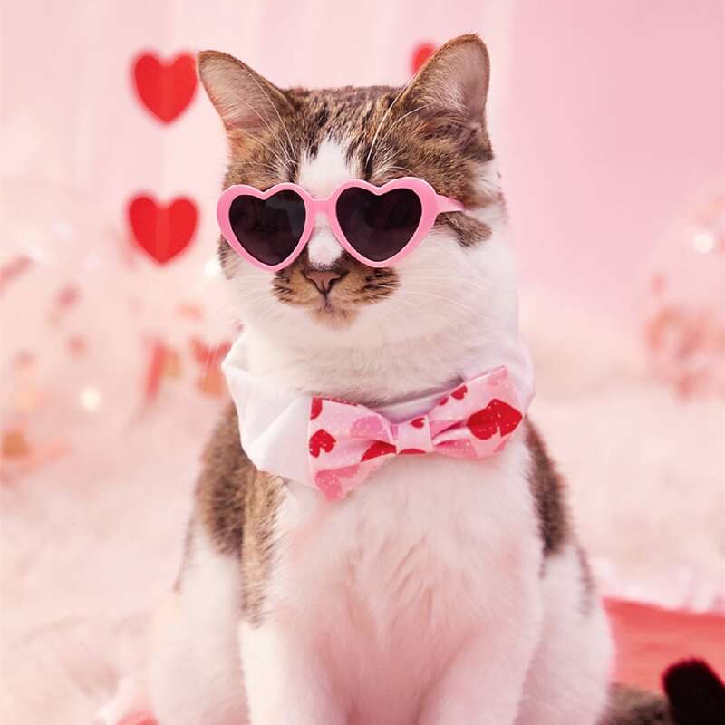 

Heart Pattern Pet Bow Tie, Pink