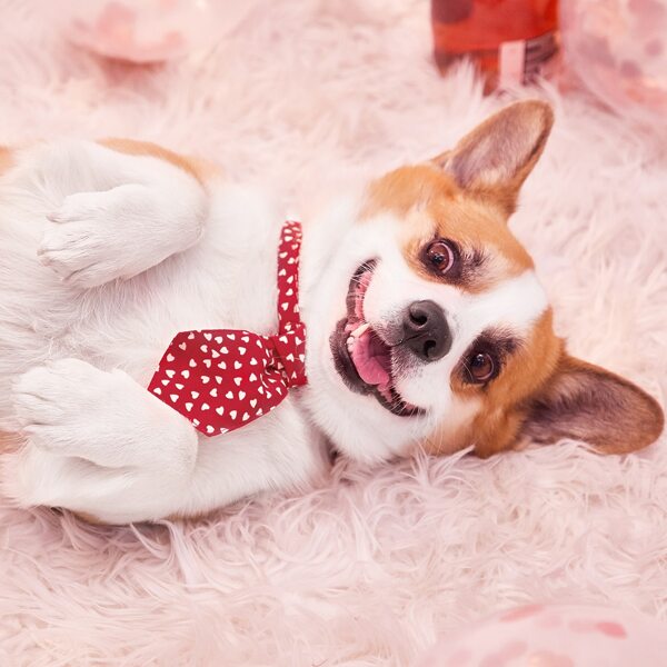

Heart Print Pet Tie, Red