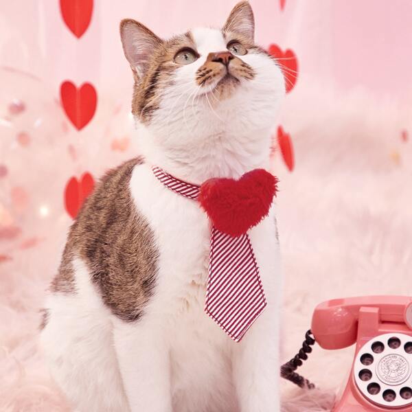 

Heart Decor Striped Pet Tie, Red