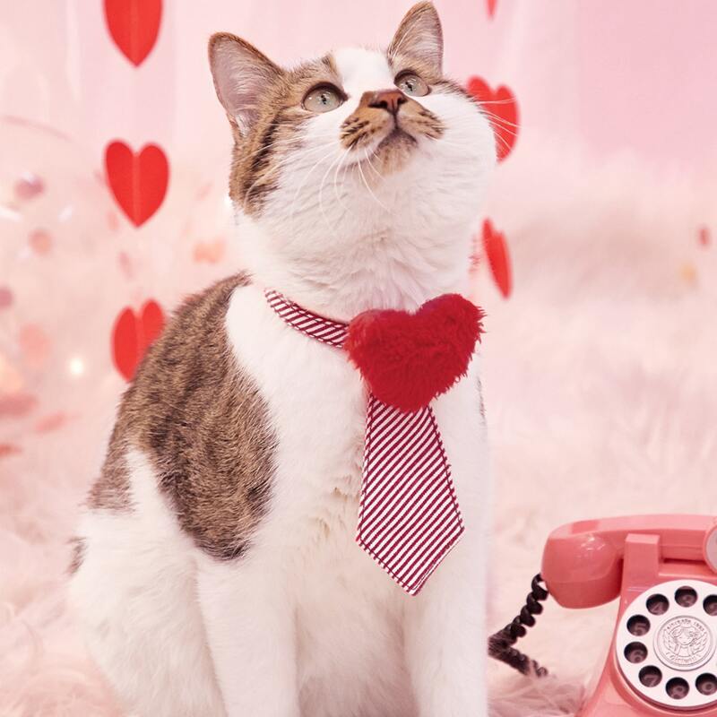 

Heart Decor Striped Pet Tie, Red