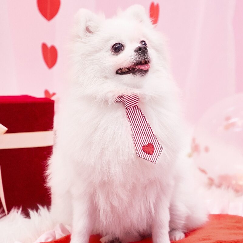 

Heart Decor Striped Pet Tie, Red