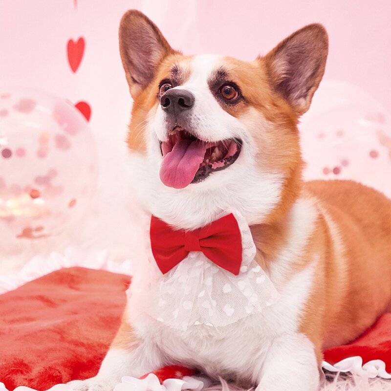 Heart Print Mesh Decor Pet Bow, Red