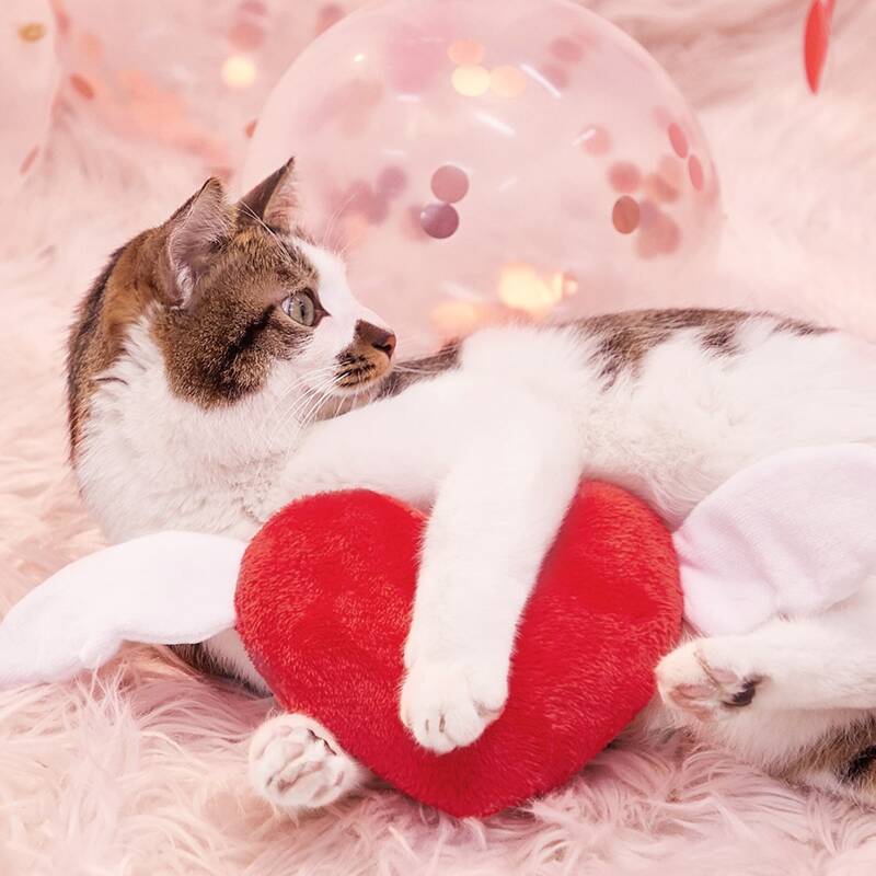

Heart Shaped Pet Plush Toy, Red