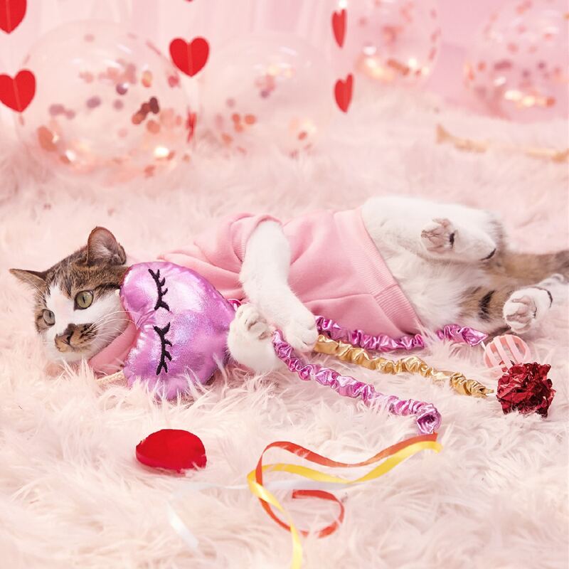 

1pc Heart Shaped Cat Teaser Toy, Purple
