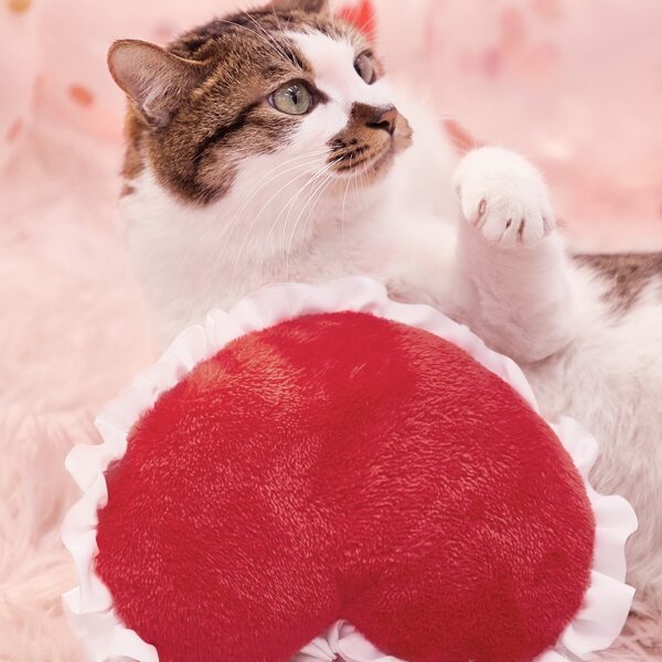 

Heart Shaped Pet Plush Toy, Red