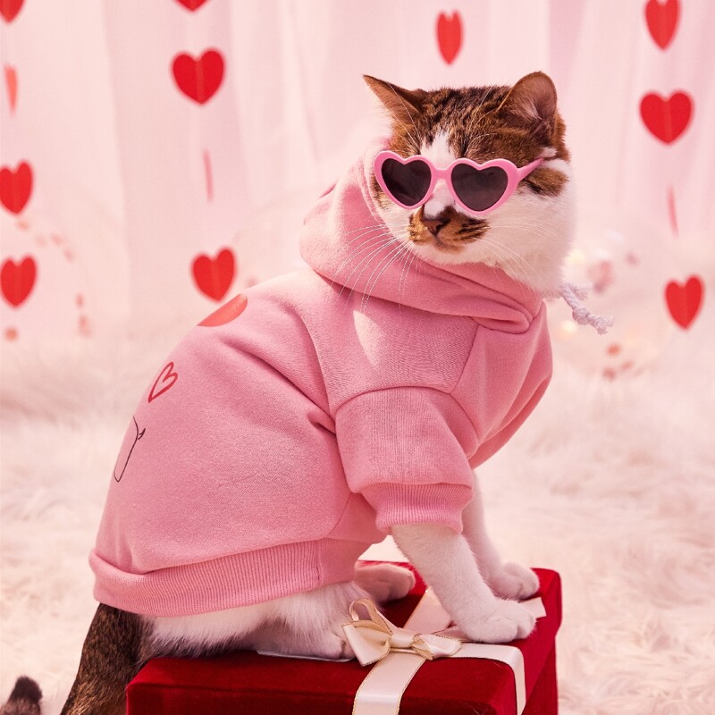 

Heart Balloon Print Pet Hoodie, Pink