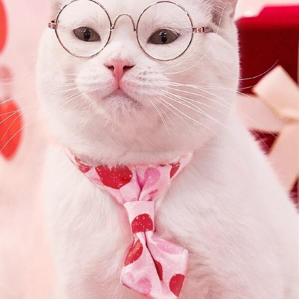 

Heart Pattern Pet Tie, Pink