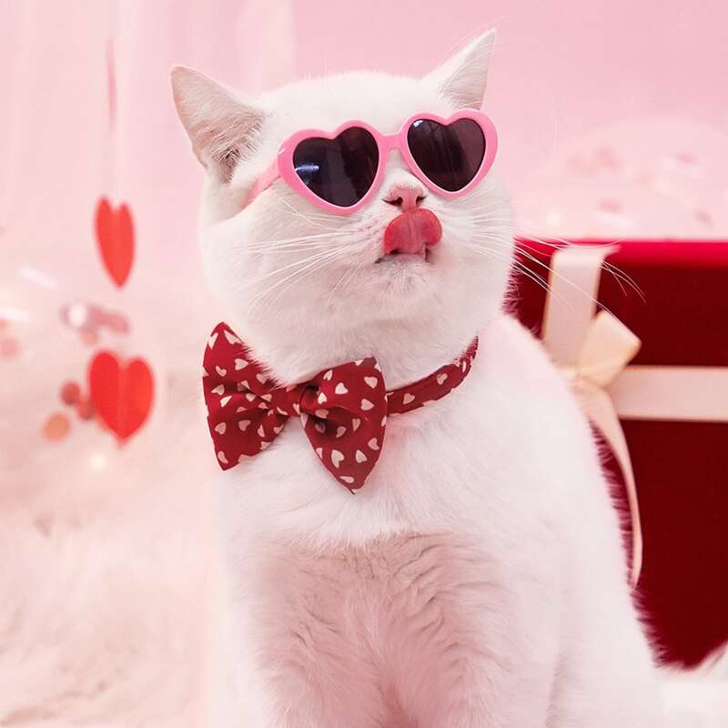 

Heart Print Pet Bow, Red