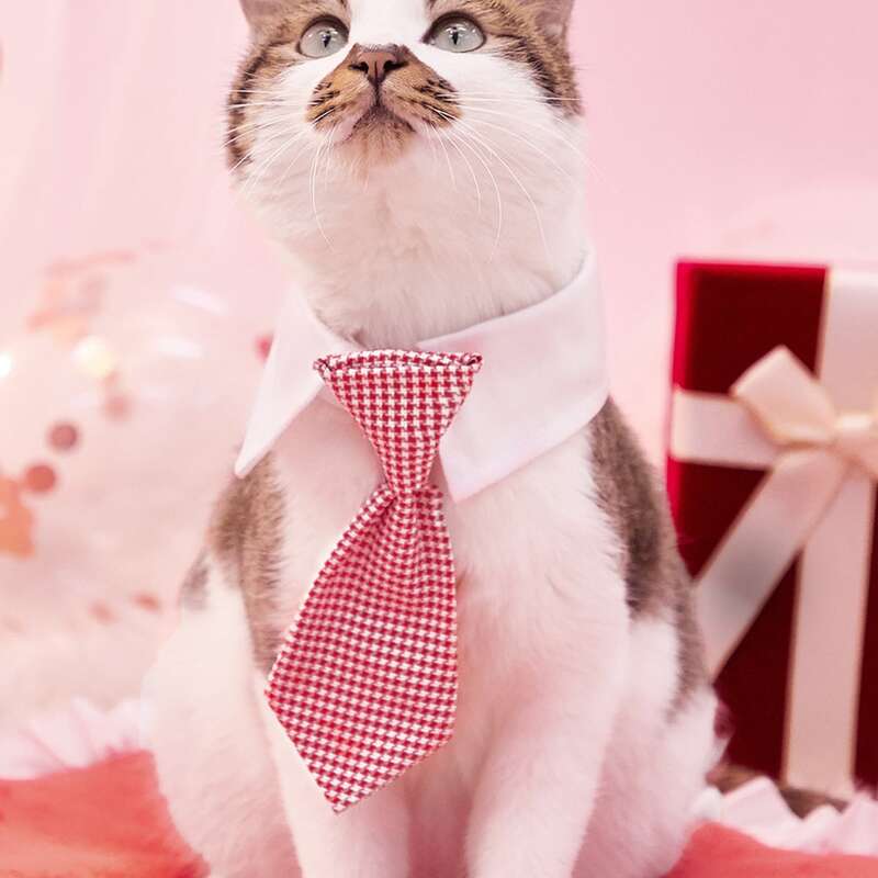 

Plaid Pet Tie, Red