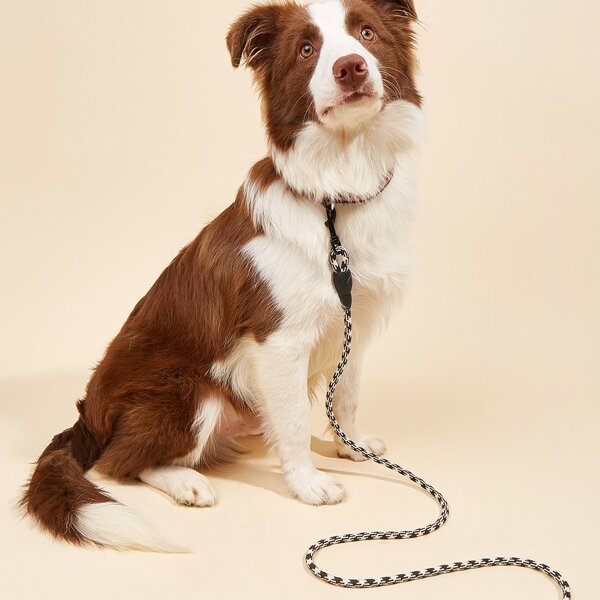 

1pc Colorblock Pet Leash, Black and white
