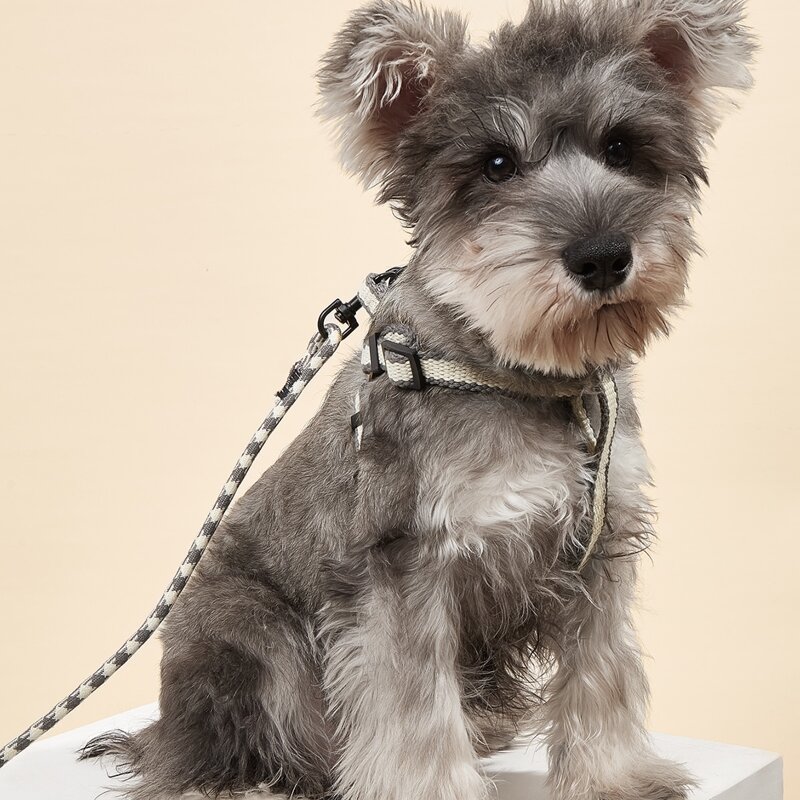

1pc Colorblock Pet Harness & 1pc Pet Leash, Light grey