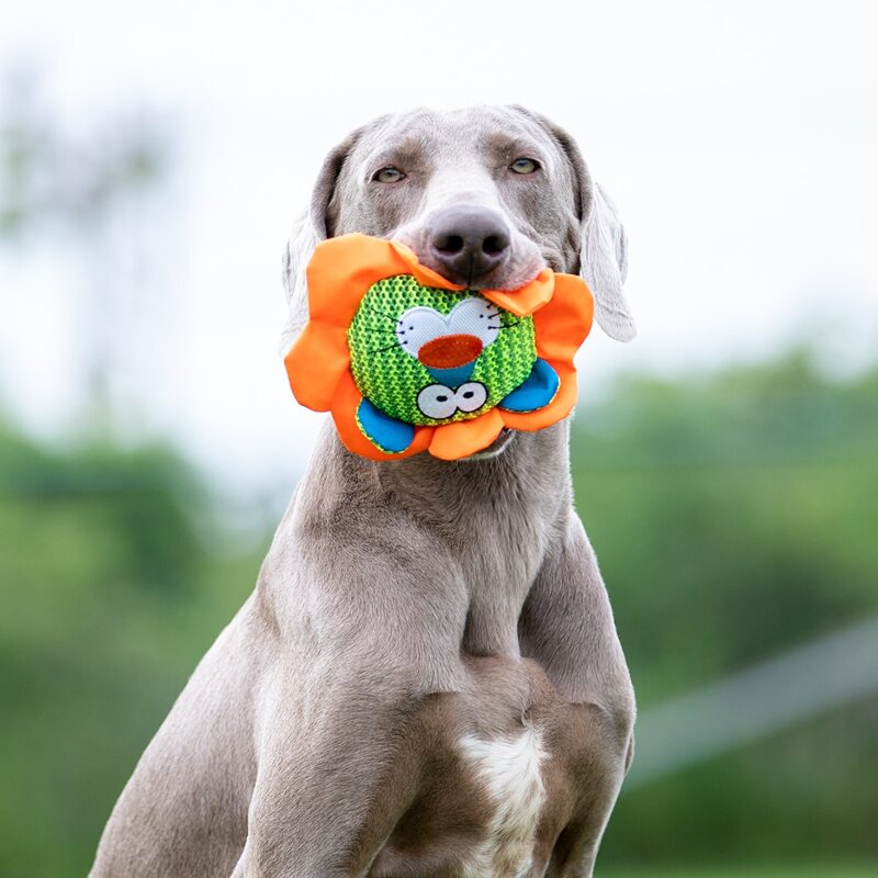 

Lion Shaped Pet Sound Toy, Green