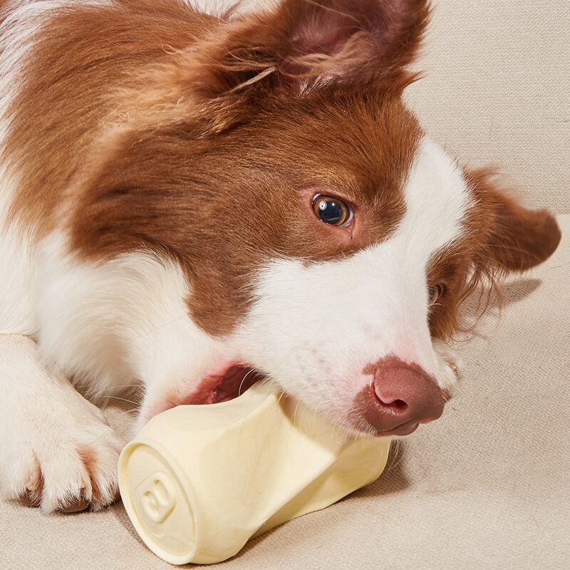 

Can Design Pet Chew Toy, Beige